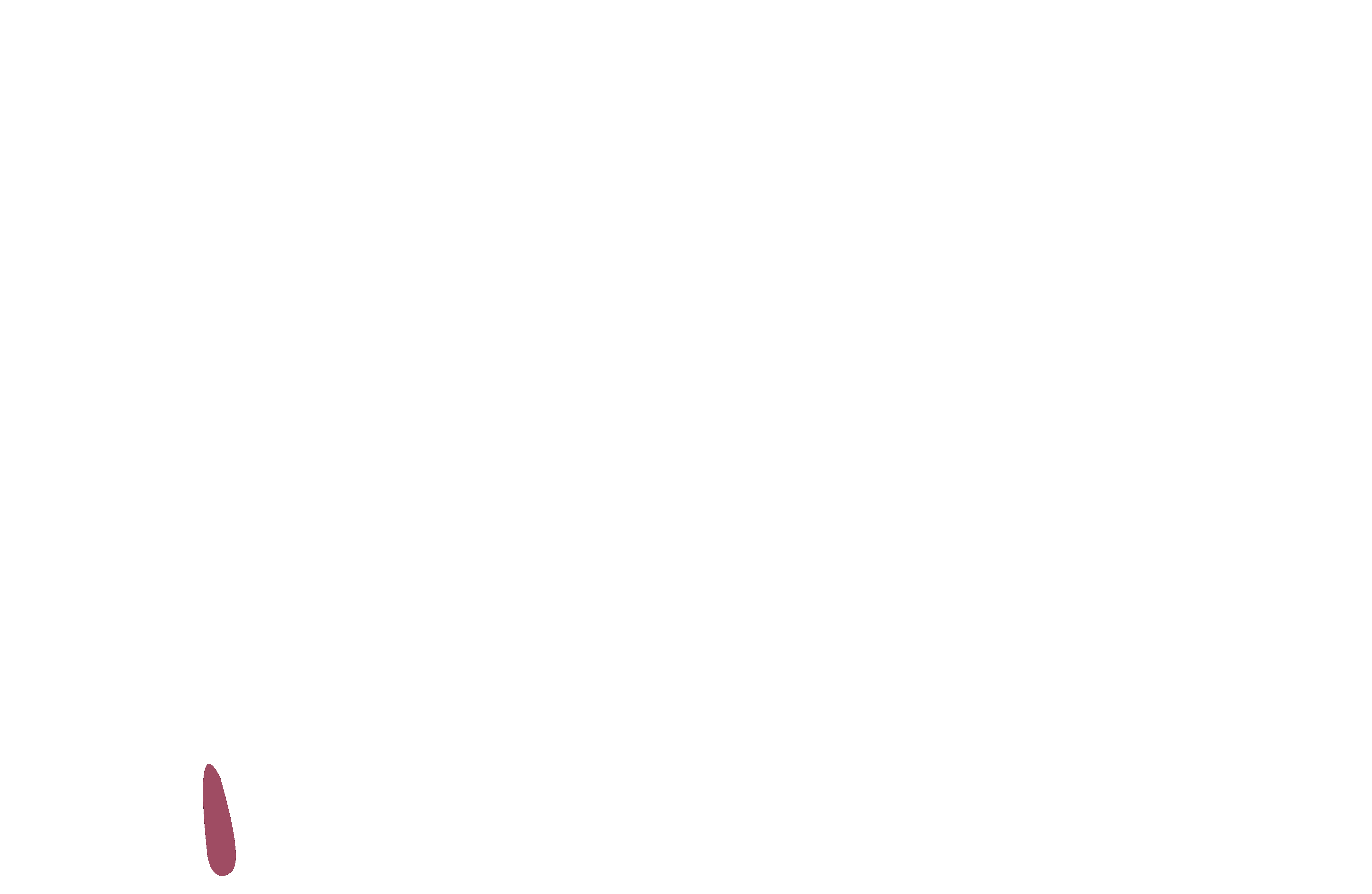 Loader GIF